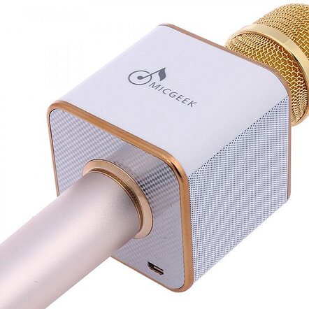 Портативный Караоке Микрофон MicGeek Q9 (USB, FM, AUX, Bluetooth)